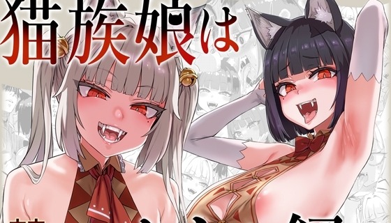 猫族娘はヒトを飼う。